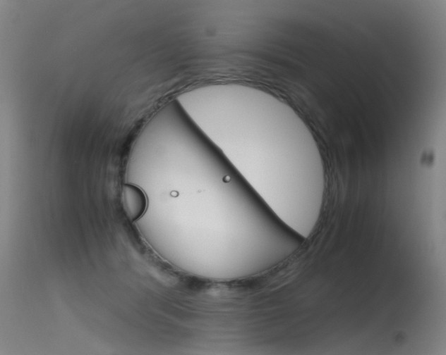 X0000115720416200911121108