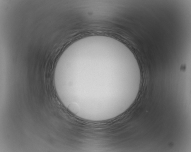X0000115720417200911121108