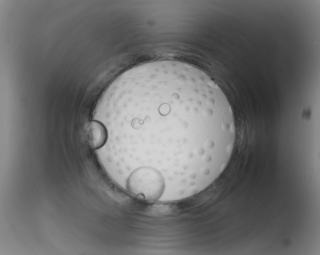 X0000115720418200911121108