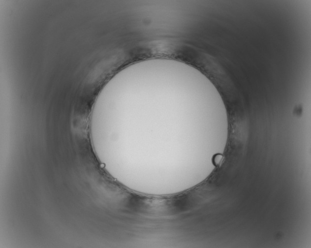 X0000115720419200911121108