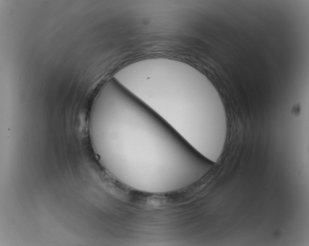 X0000115720420200911121108
