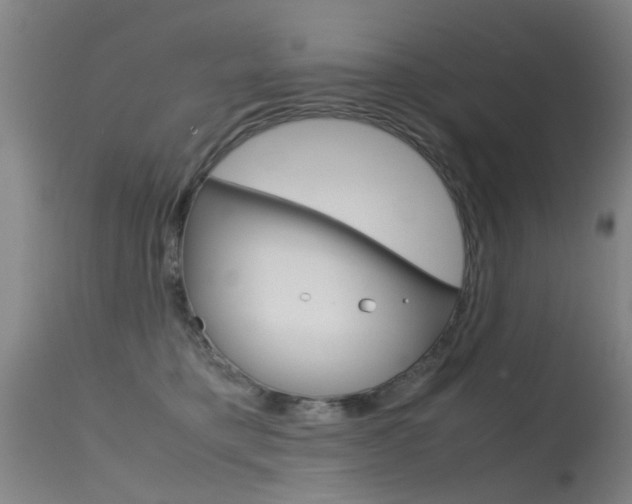 X0000115720421200911121108