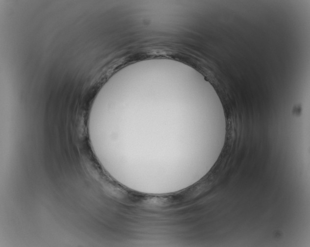 X0000115720422200911121108
