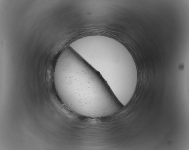 X0000115720424200911121107