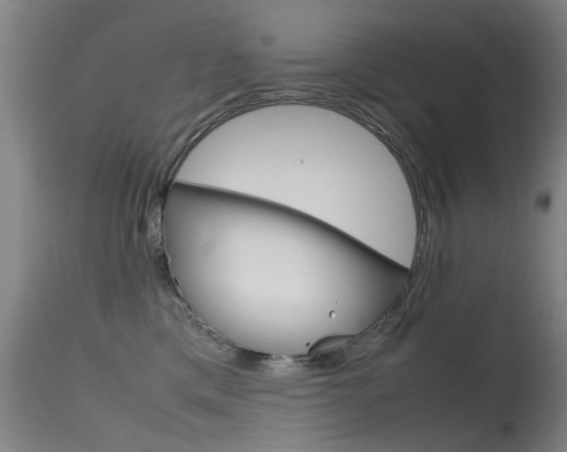 X0000115720425200911121107