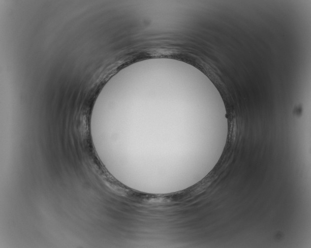 X0000115720426200911121107