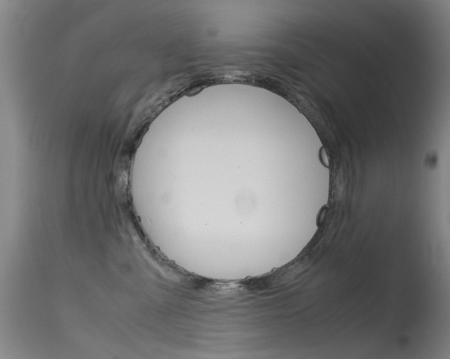 X0000115720427200911121107