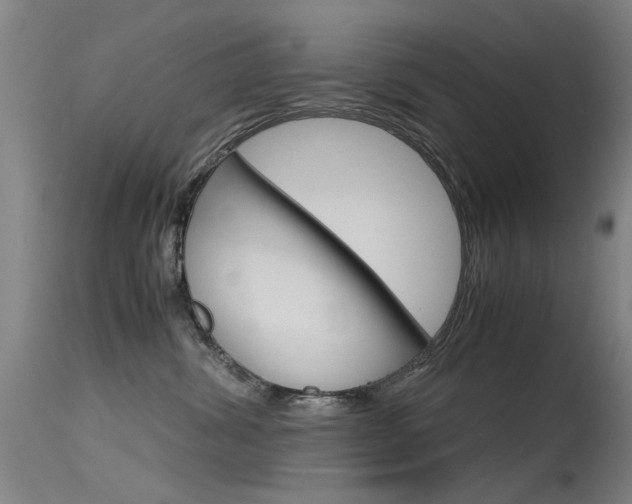 X0000115720428200911121107