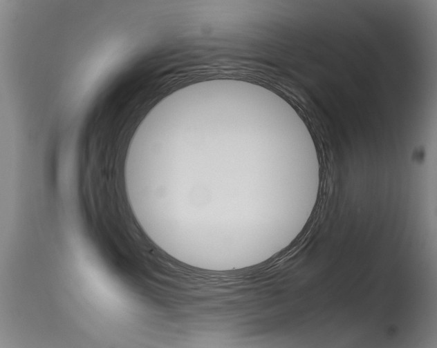 X0000115720429200911121107