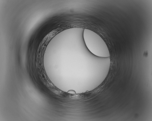 X0000115720430200911121107