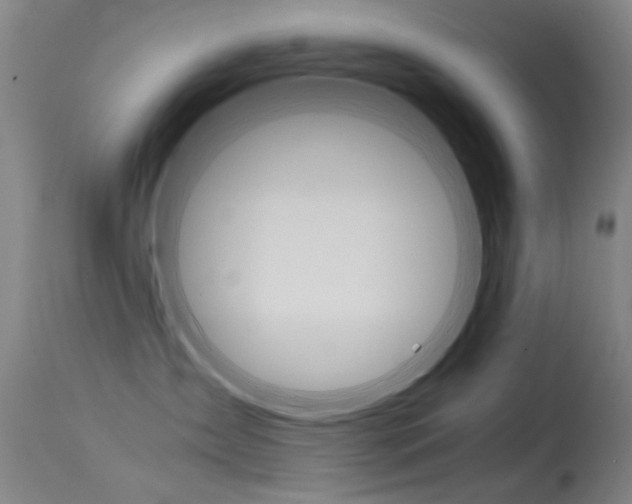 X0000115720431200911121107