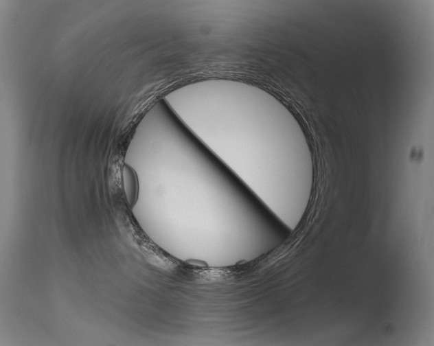 X0000115720432200911121107