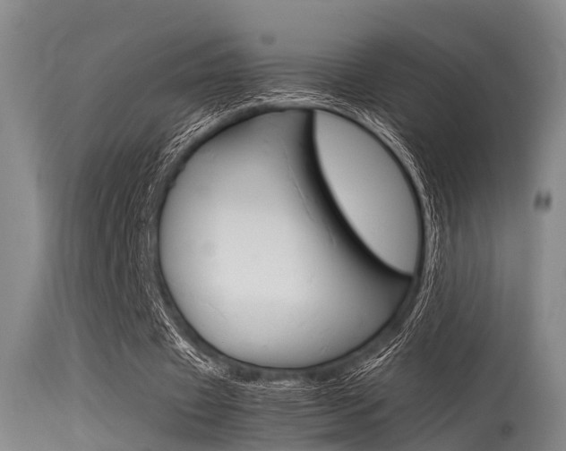 X0000115720433200911121107