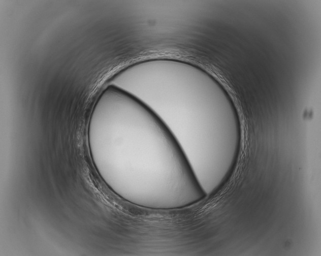 X0000115720434200911121107