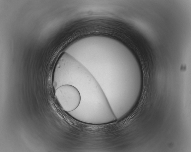 X0000115720435200911121107