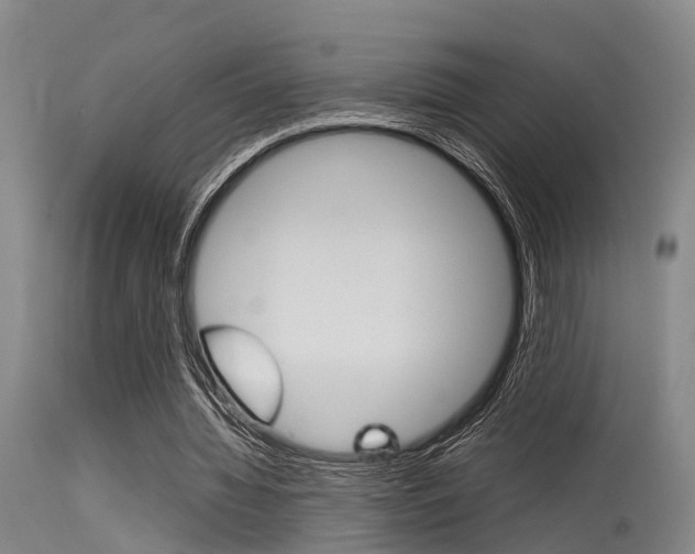 X0000115720436200911121107