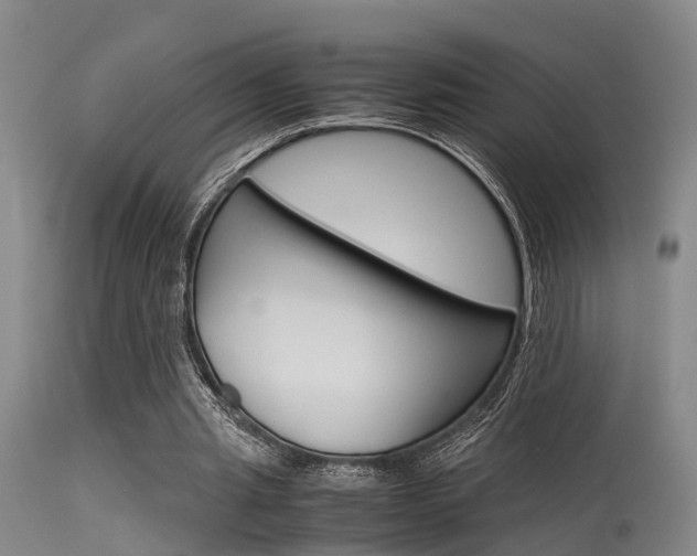X0000115720437200911121107