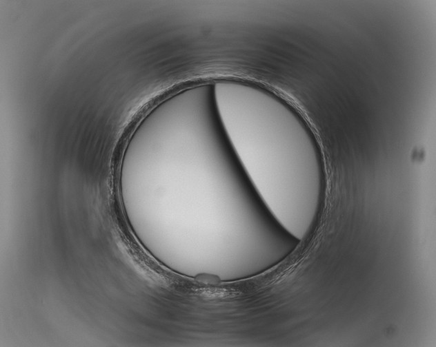 X0000115720439200911121107