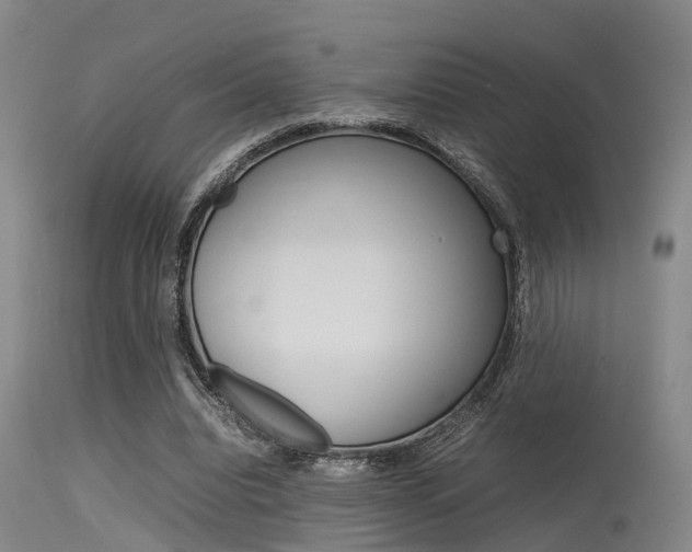 X0000115720440200911121107