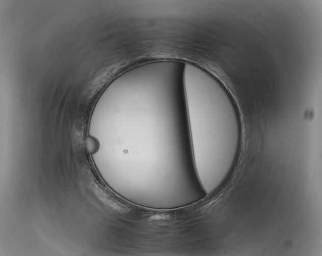 X0000115720441200911121107