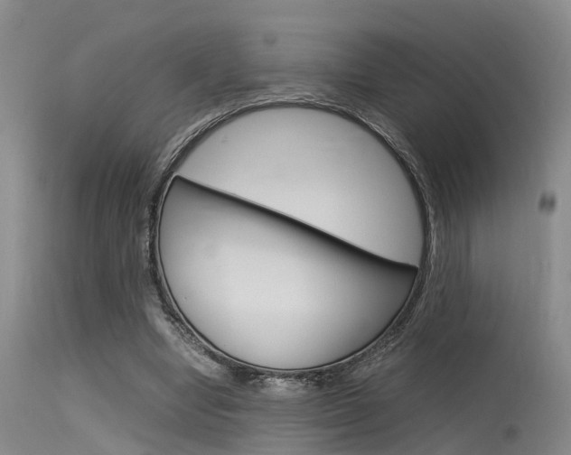 X0000115720442200911121107