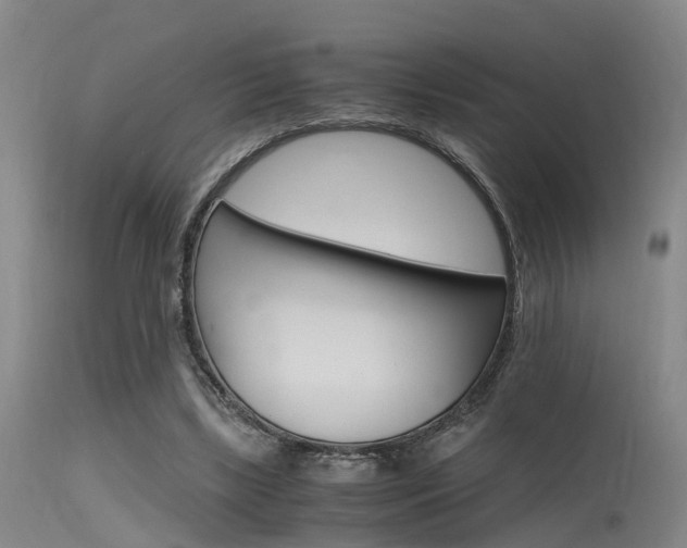 X0000115720443200911121107