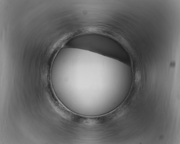 X0000115720444200911121107