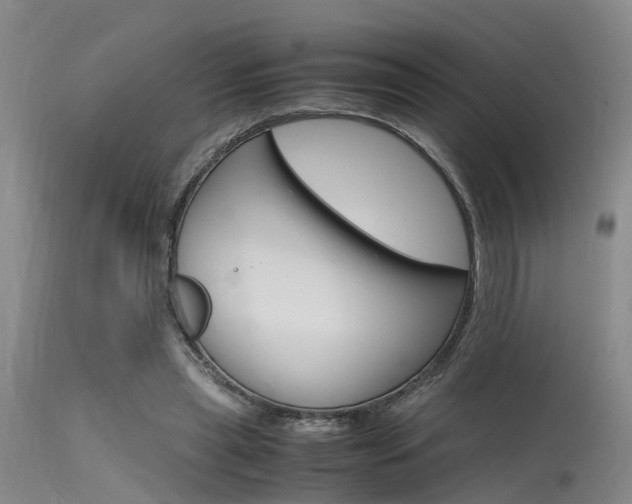 X0000115720445200911121107