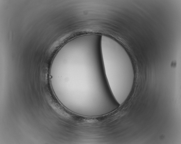 X0000115720446200911121107
