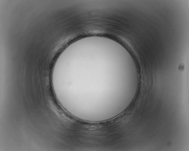 X0000115720447200911121107