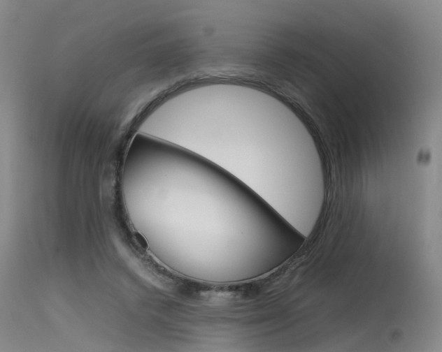 X0000115720448200911121107