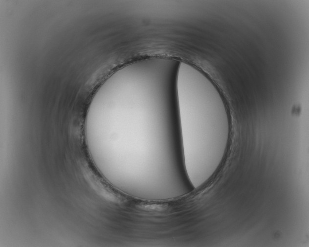 X0000115720449200911121107