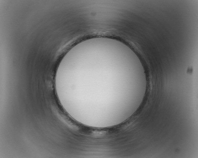 X0000115720450200911121107