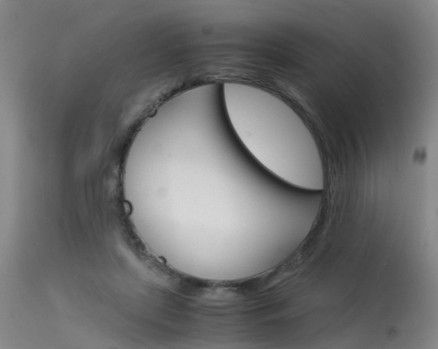 X0000115720451200911121107