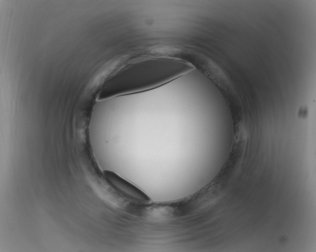 X0000115720452200911121107