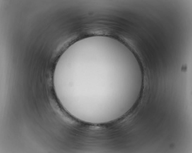 X0000115720453200911121107