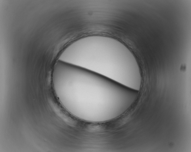 X0000115720454200911121107