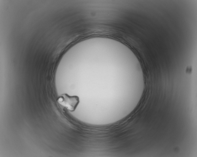 X0000115720456200911121107