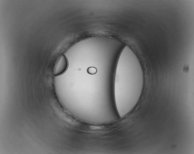 X0000115720457200911121107