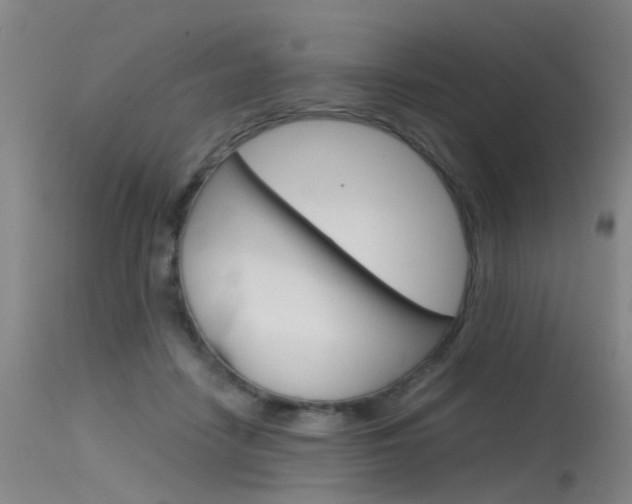 X0000115720458200911121107