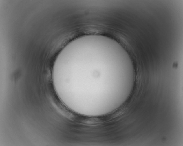 X0000115720459200911121107