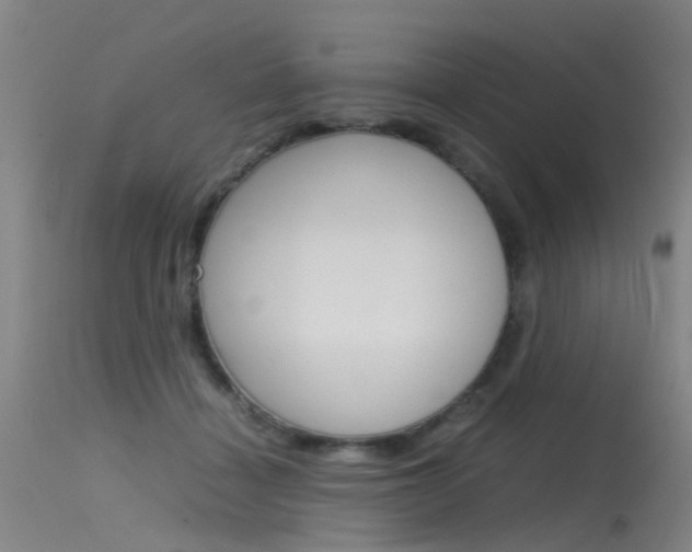 X0000115720460200911121107