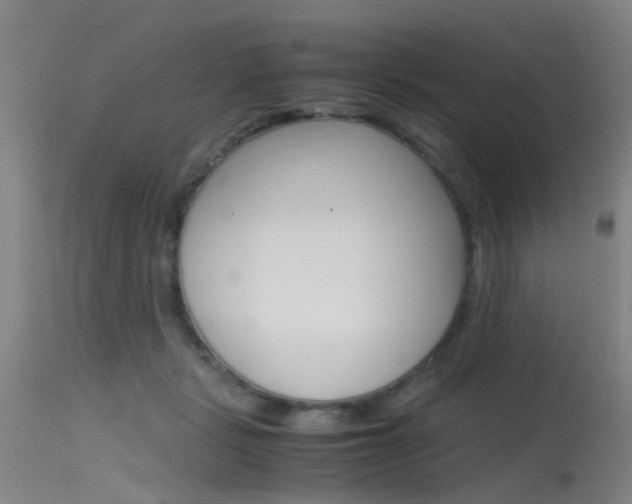 X0000115720461200911121107