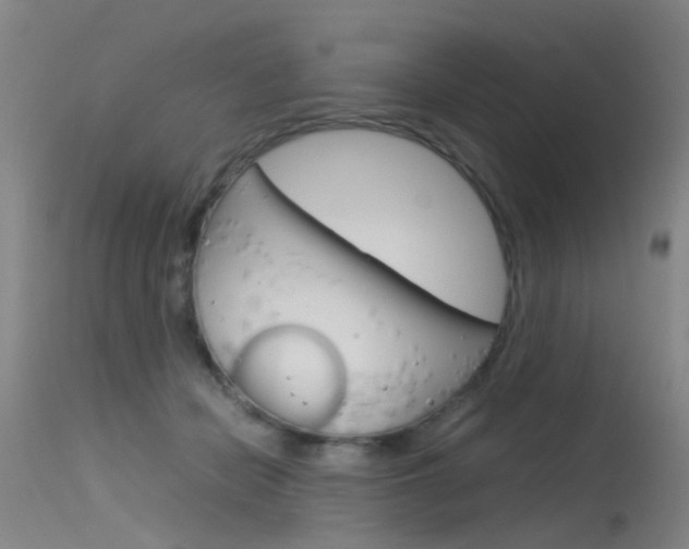 X0000115720462200911121107