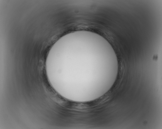 X0000115720463200911121107