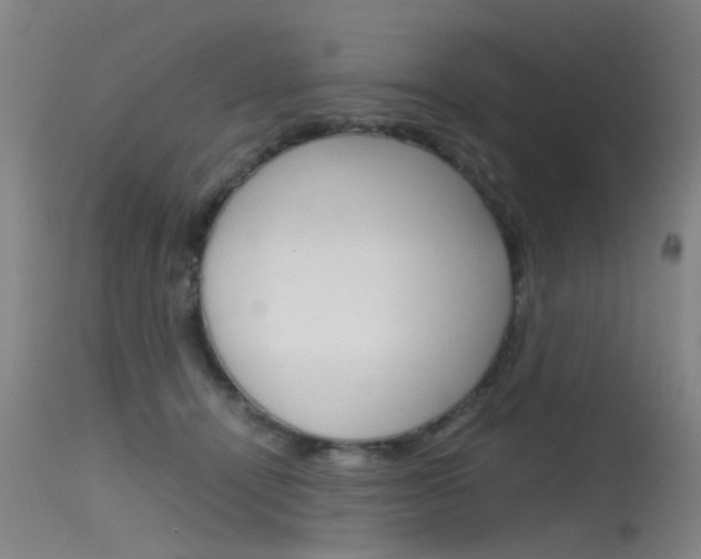 X0000115720464200911121107