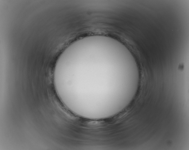 X0000115720465200911121107