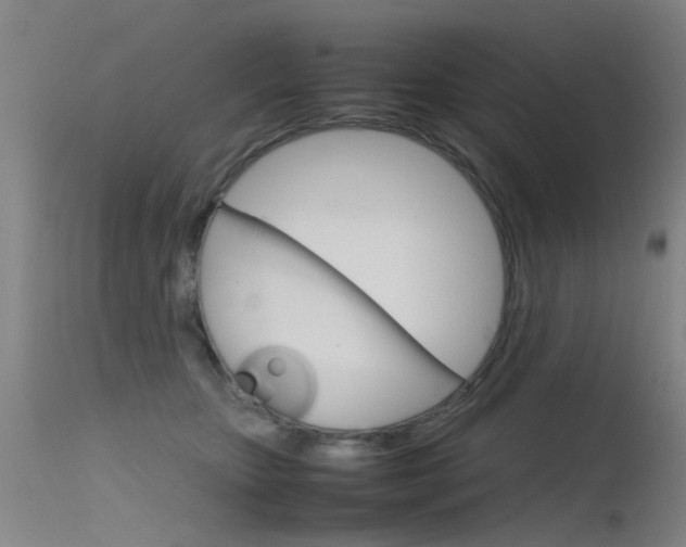 X0000115720467200911121107