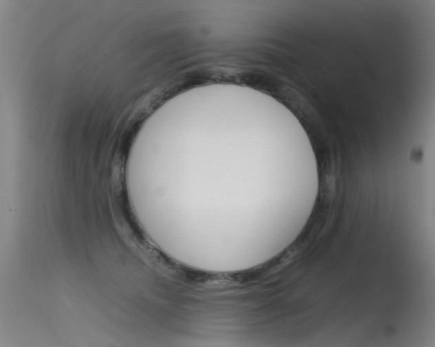 X0000115720468200911121107