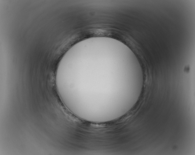 X0000115720469200911121107